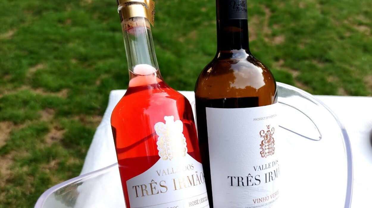 7fe86b2d_6501_452c_b320_d3339ba0de7a