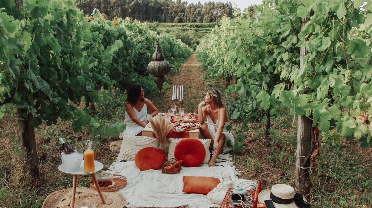quintadosencados_picnic_na_vinha