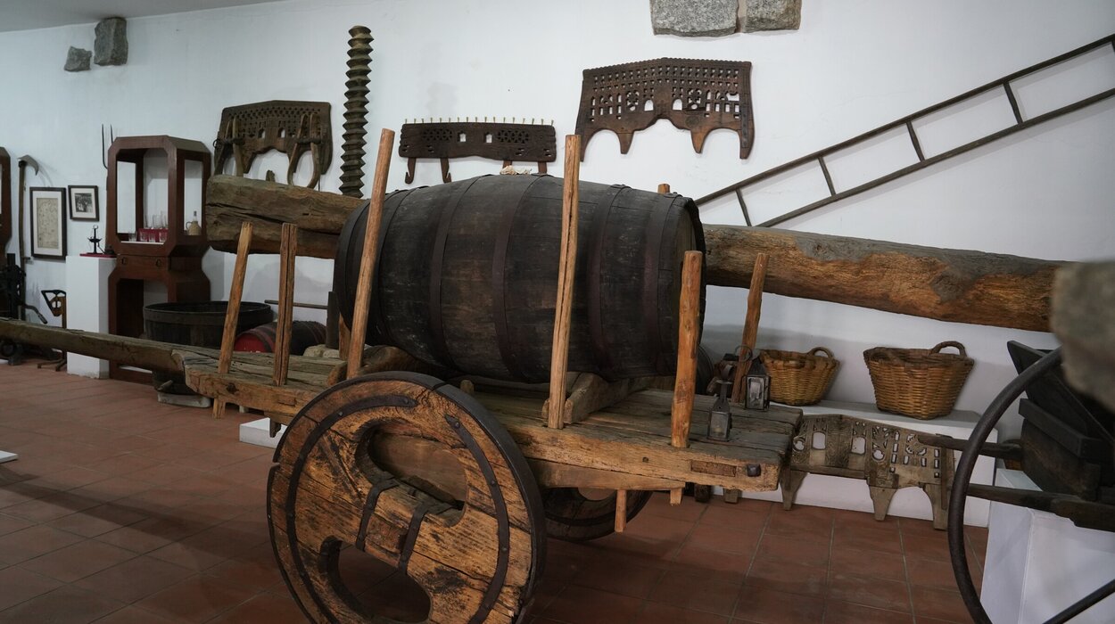 museu_agricola_fermentoes20_005