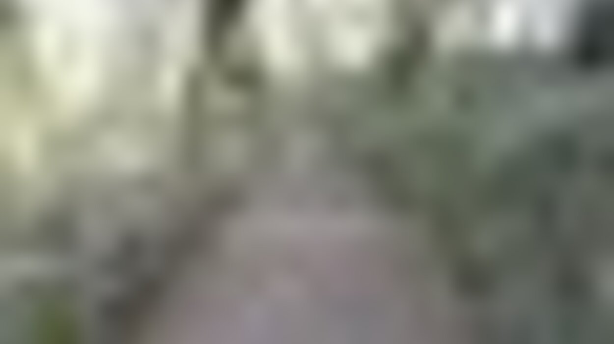 tiny_thumb_caminhos1