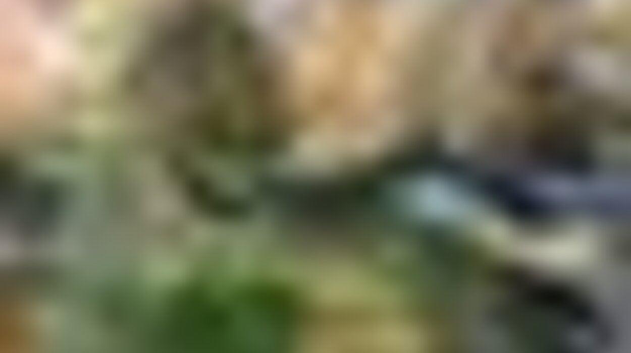 tiny_thumb_parque_do_lago__4_