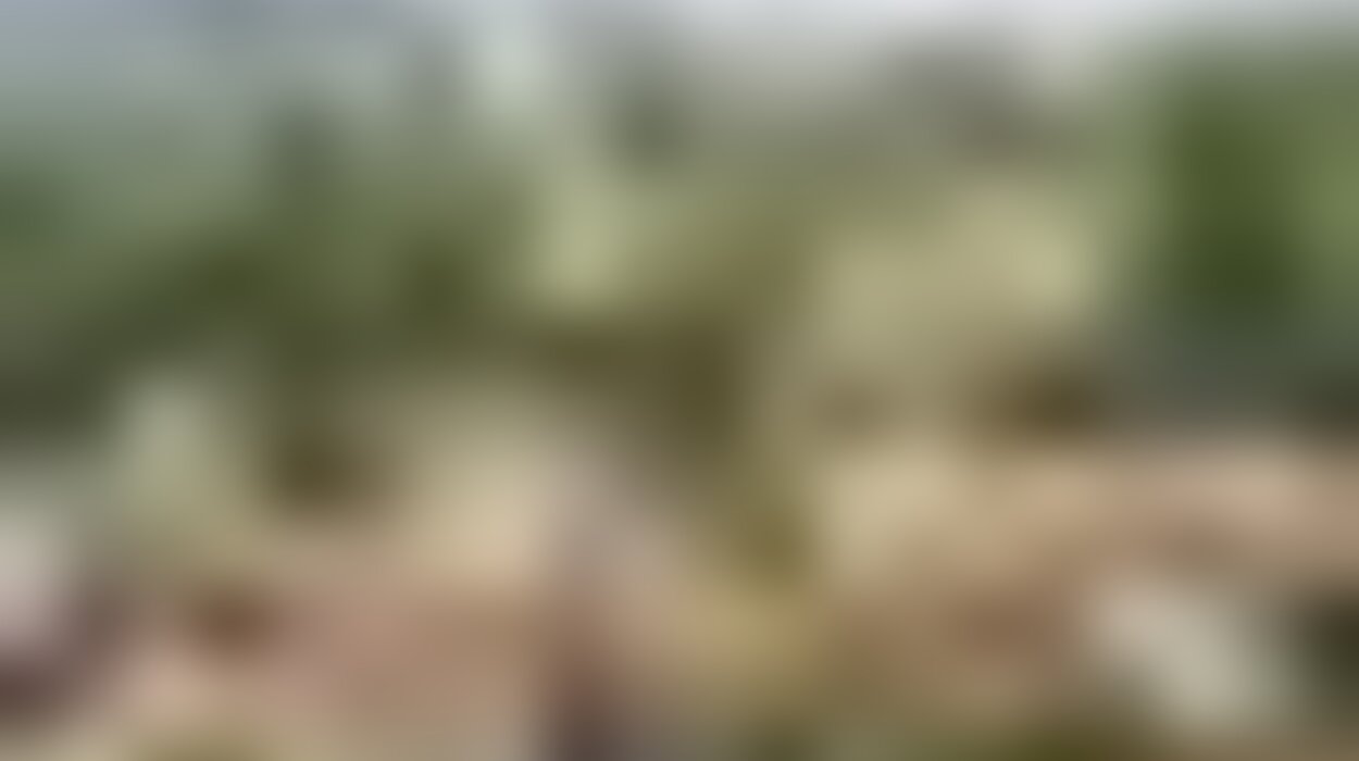 tiny_thumb_centro_historico