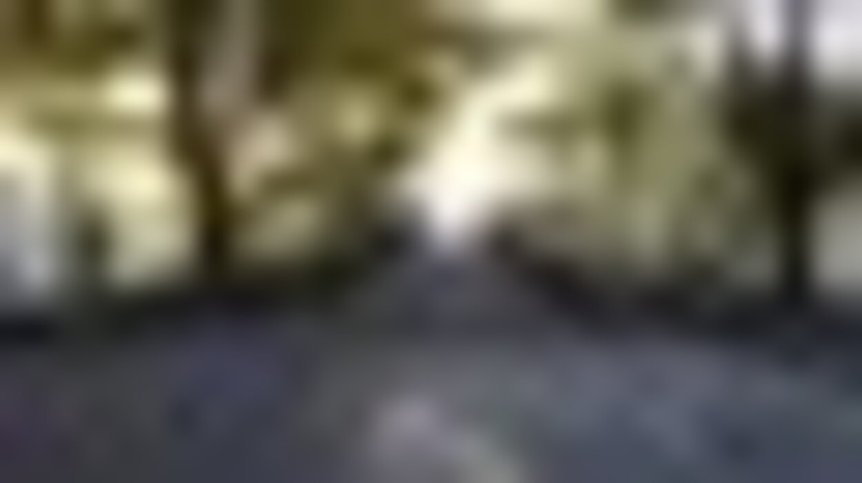 tiny_thumb_parque_central_estadio
