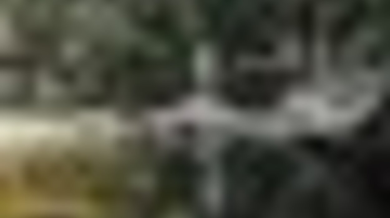 tiny_thumb_lagoas_e_charcas