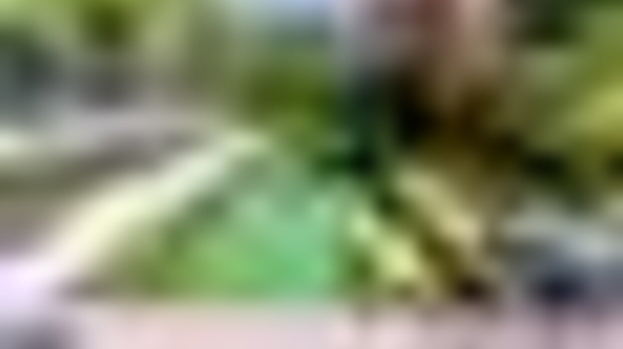 tiny_thumb_aabbf5f5_3902_4158_a548_1f041672c17e