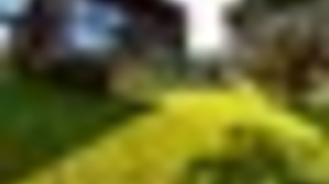 tiny_thumb_img_9816_2