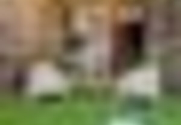 tiny_thumb_263269981