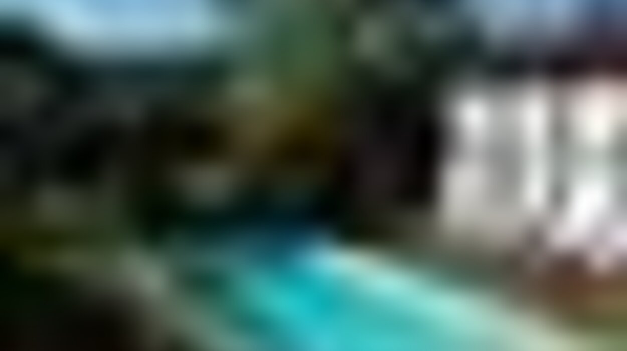 tiny_thumb_f2230d15_91ce_4684_9d9a_4a7c5f04233d