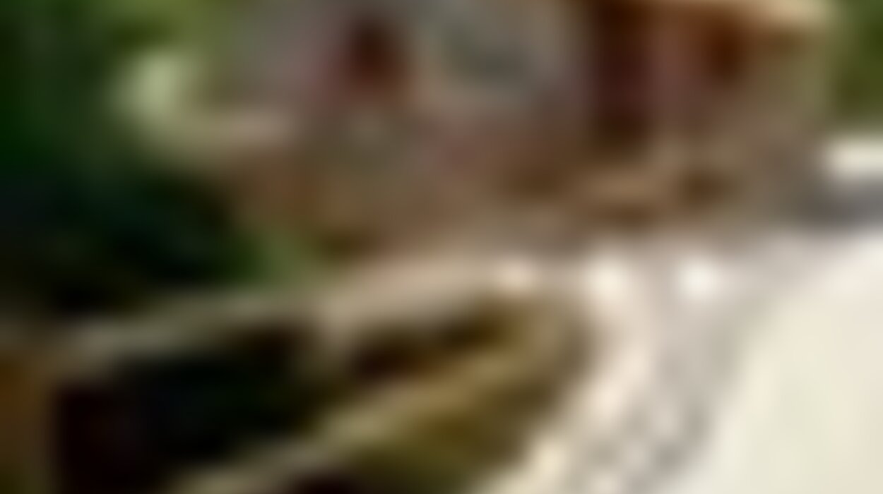 tiny_thumb_8730ec1a_original