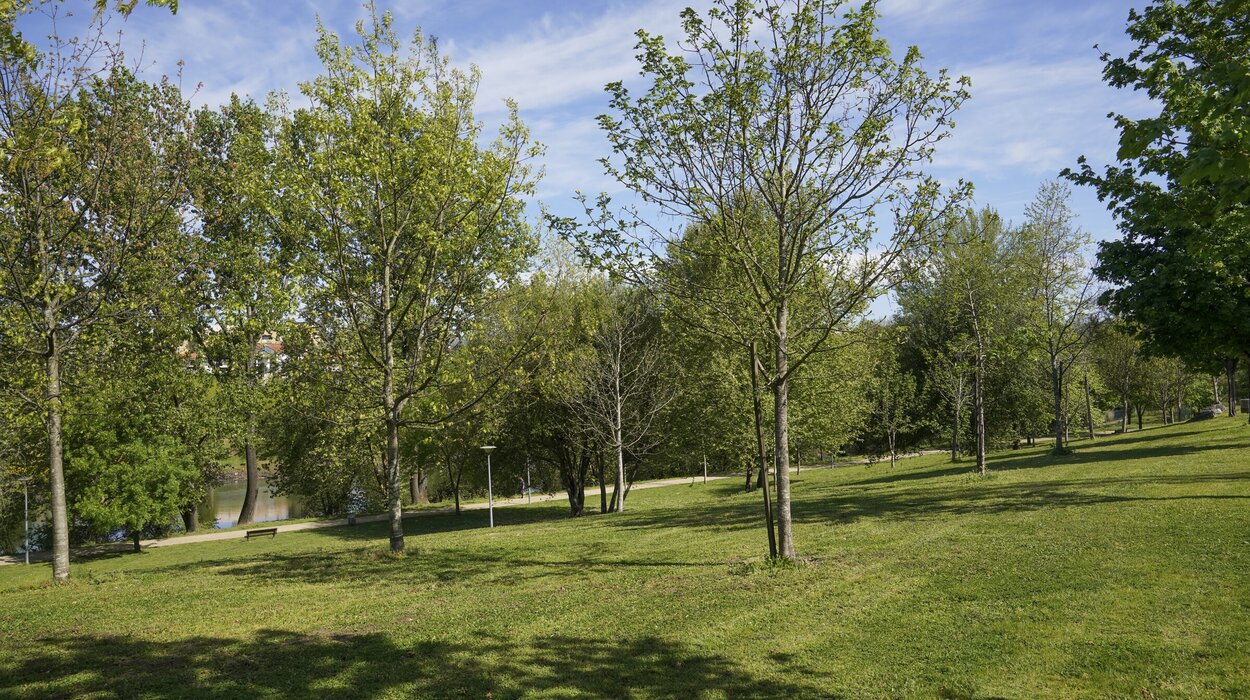 parque_insua_ponte21_337