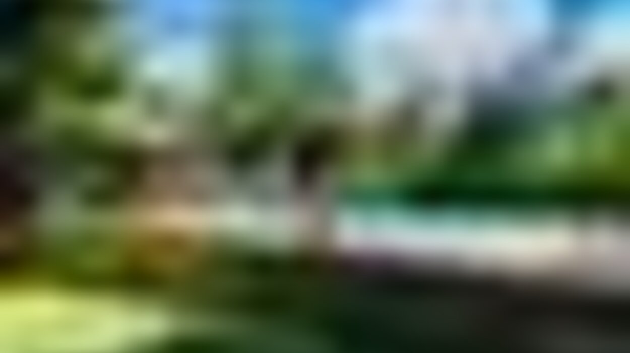 tiny_thumb_286221180