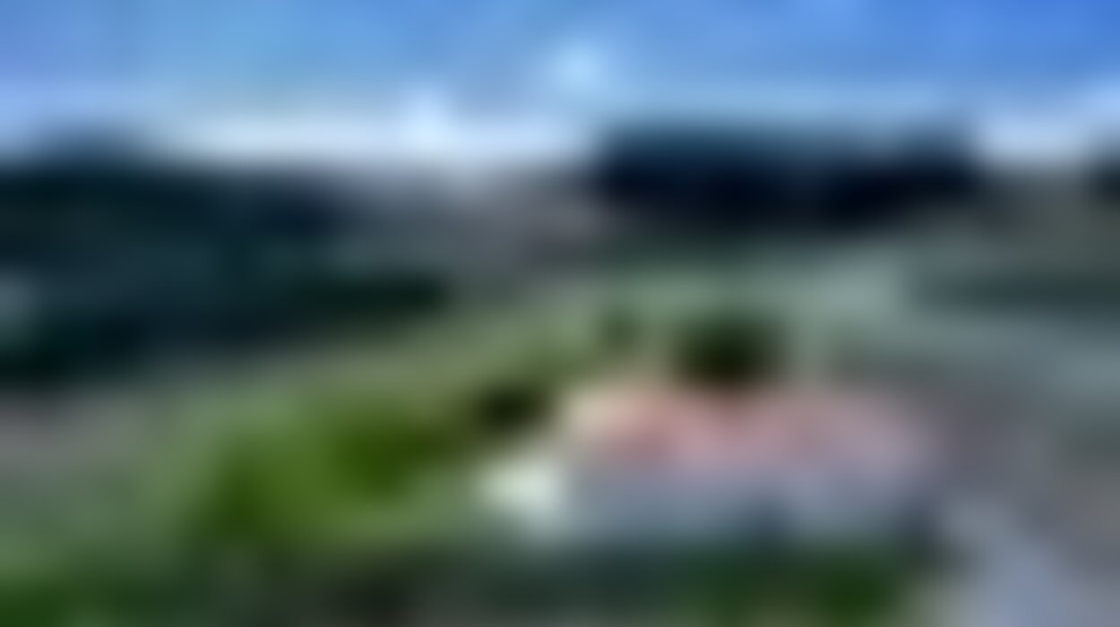 tiny_thumb_quinta1