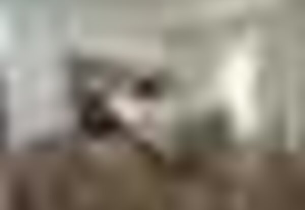 tiny_thumb_whatsapp_image