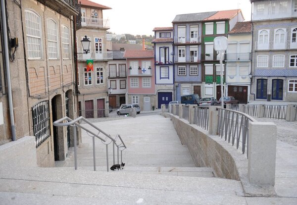 couro_1919_1_1024_2500