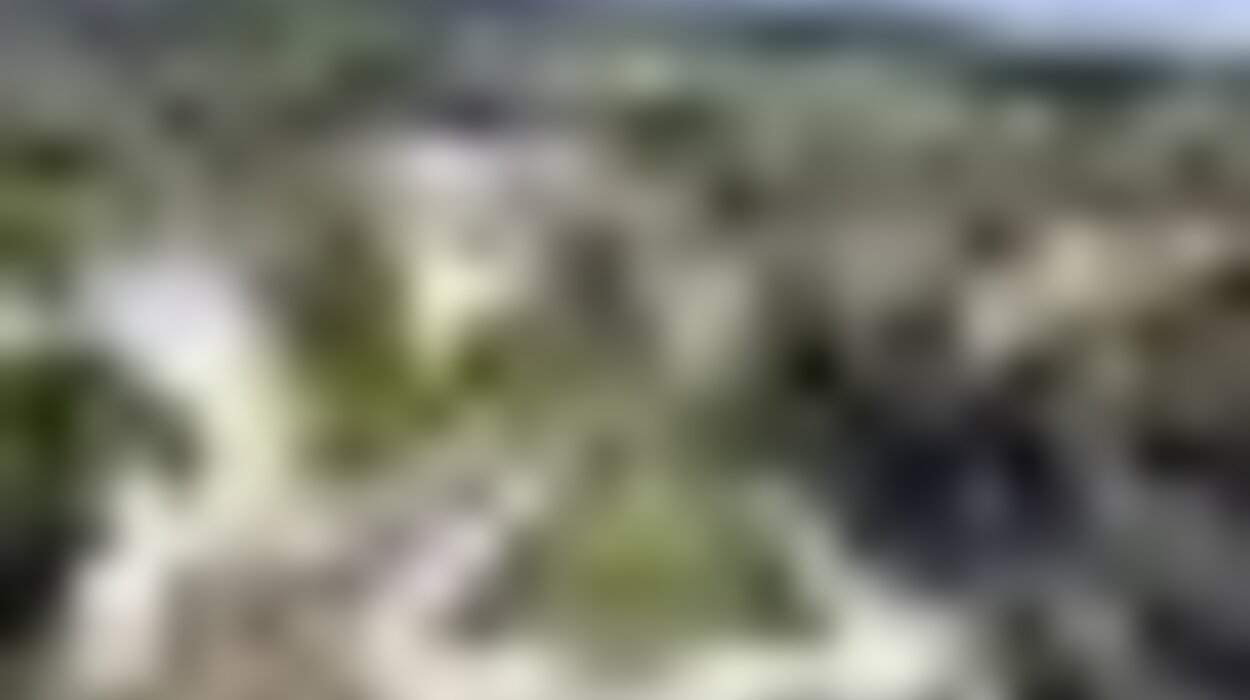 tiny_thumb_campo_feira