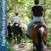 Experiências Equestres