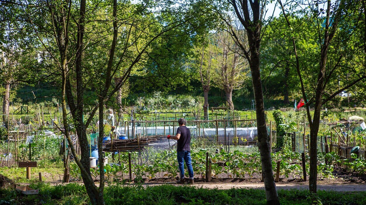 1visitguimaraes-travel-sustentabilidade-colaborar