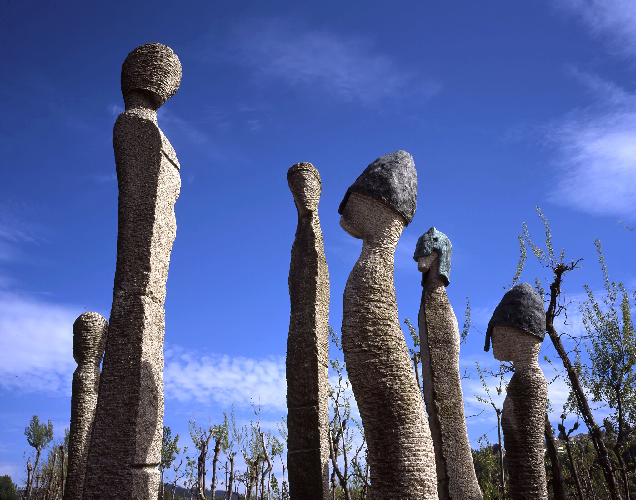 petit_tour_campo_da_ataca