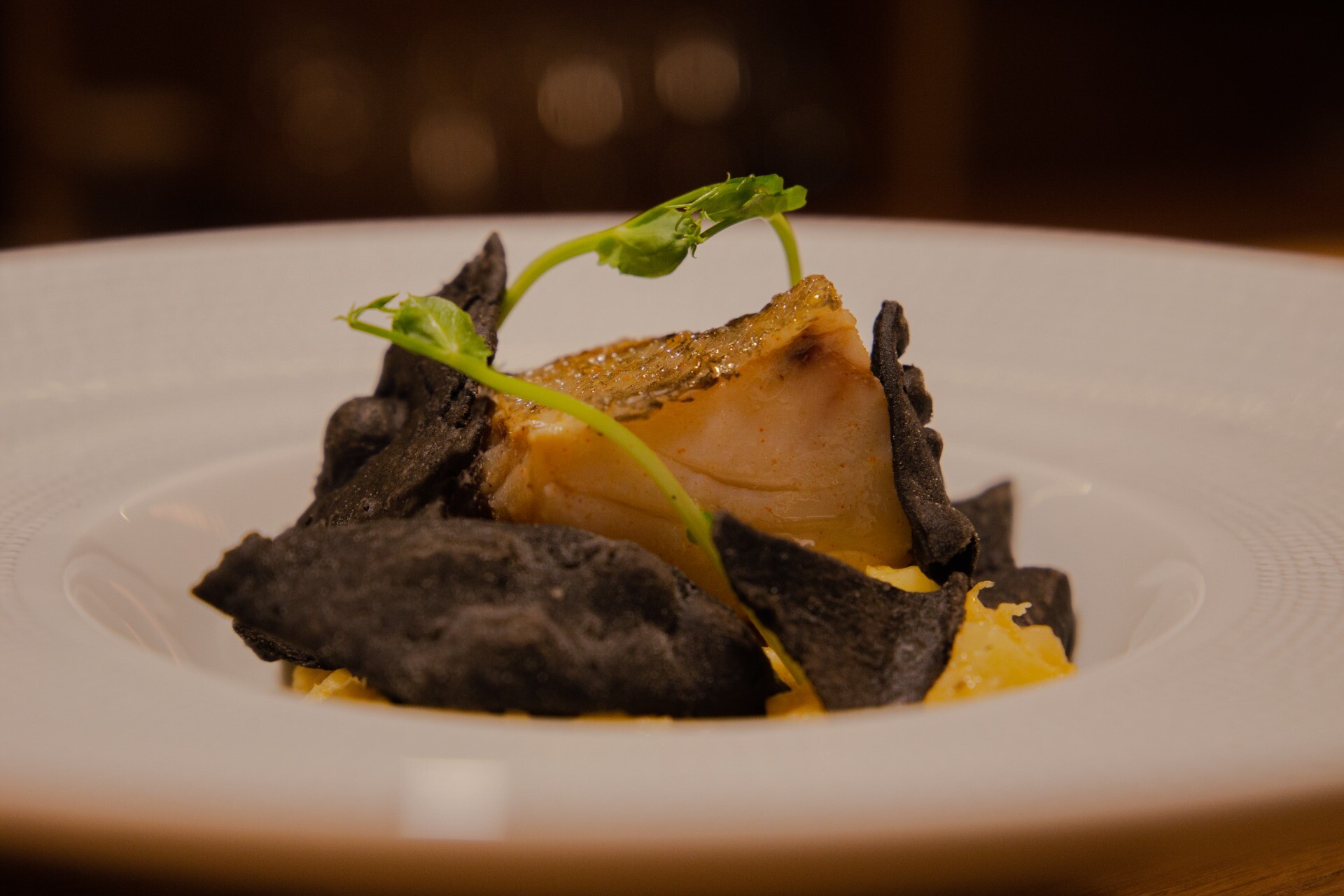 whatsapp_image_2021_10_05_at_20_16_22