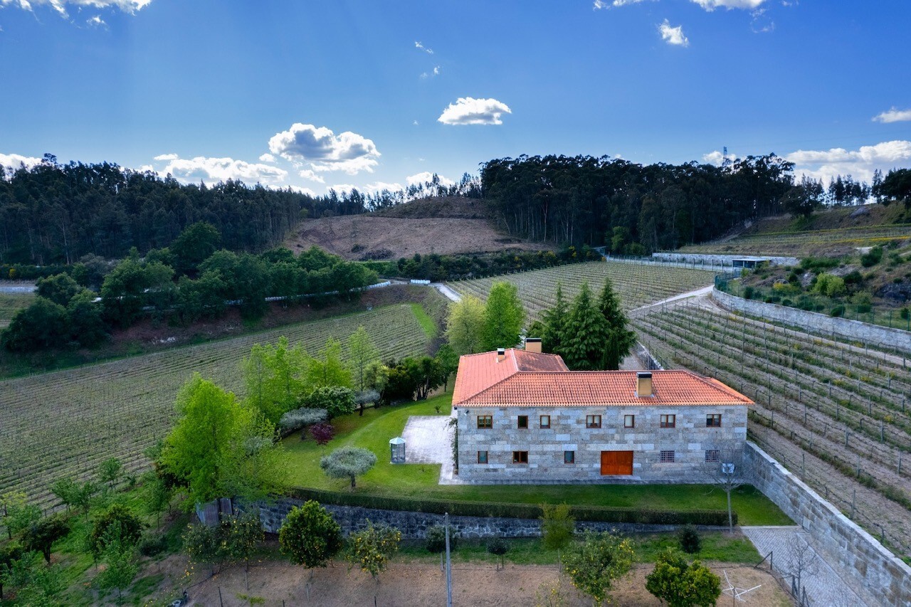 quinta1