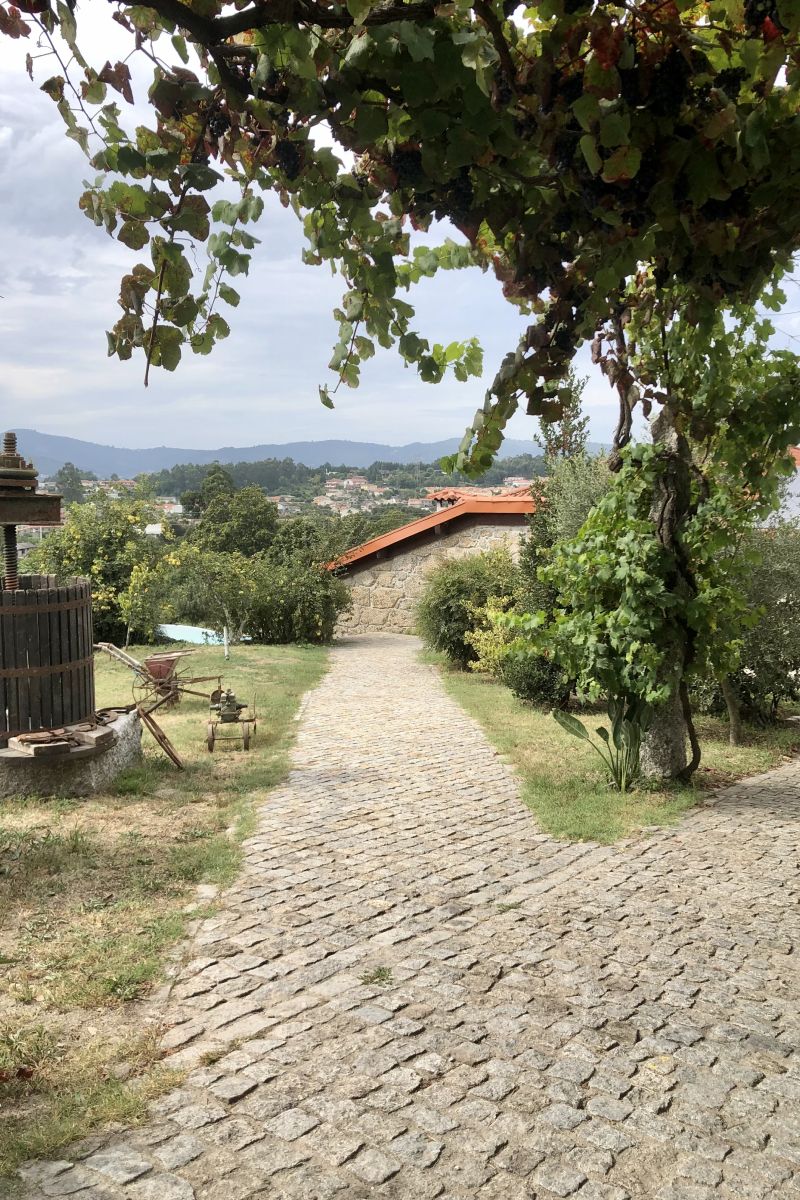 quinta_da_tulha_ext01