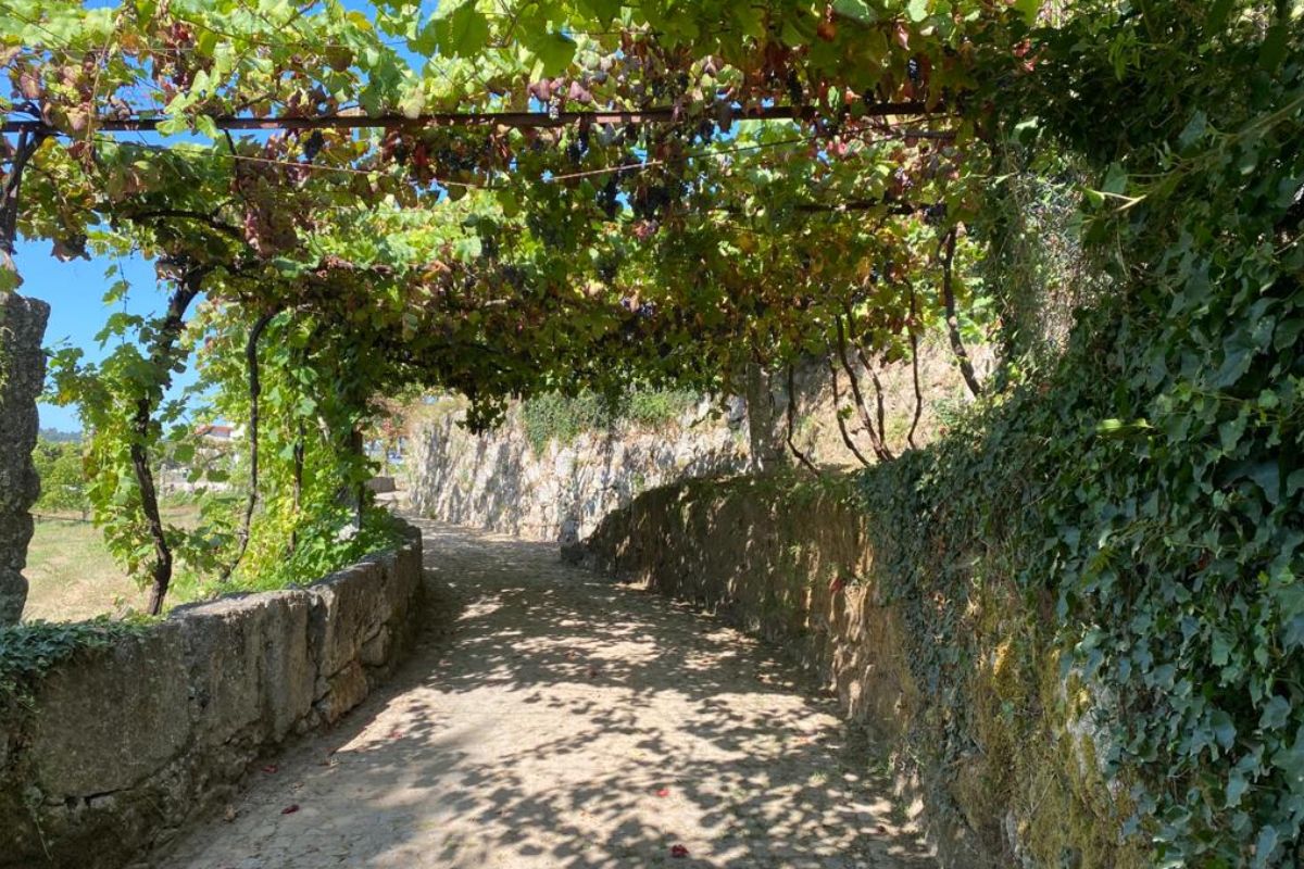 quinta_da_tulha_ext19