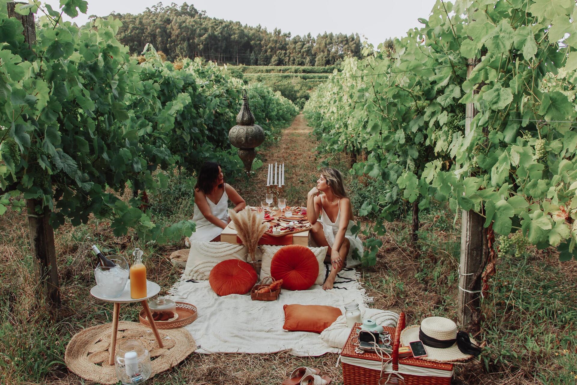 quintadosencados_picnic_na_vinha