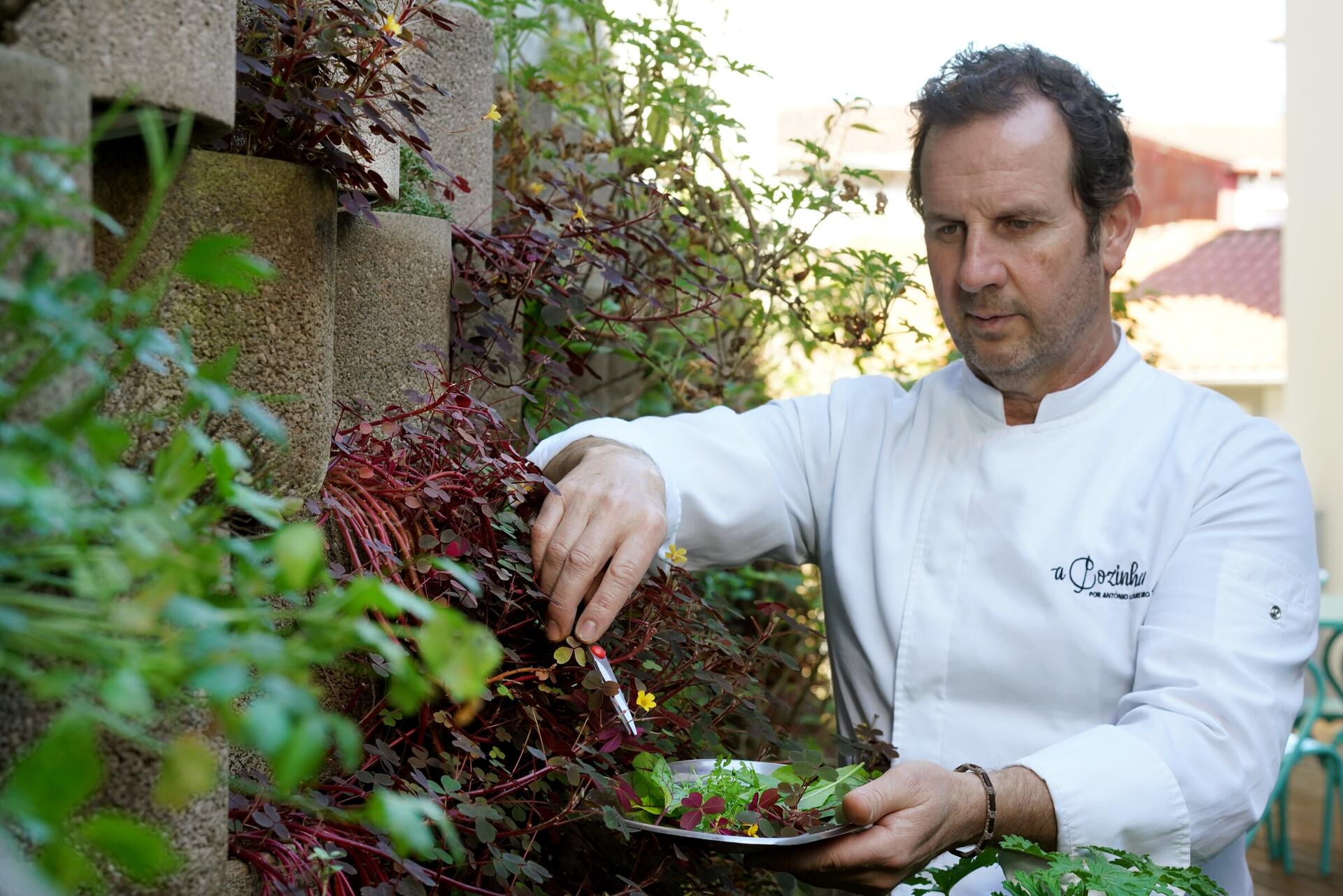 at_restaurant_kitchen_garden__2_