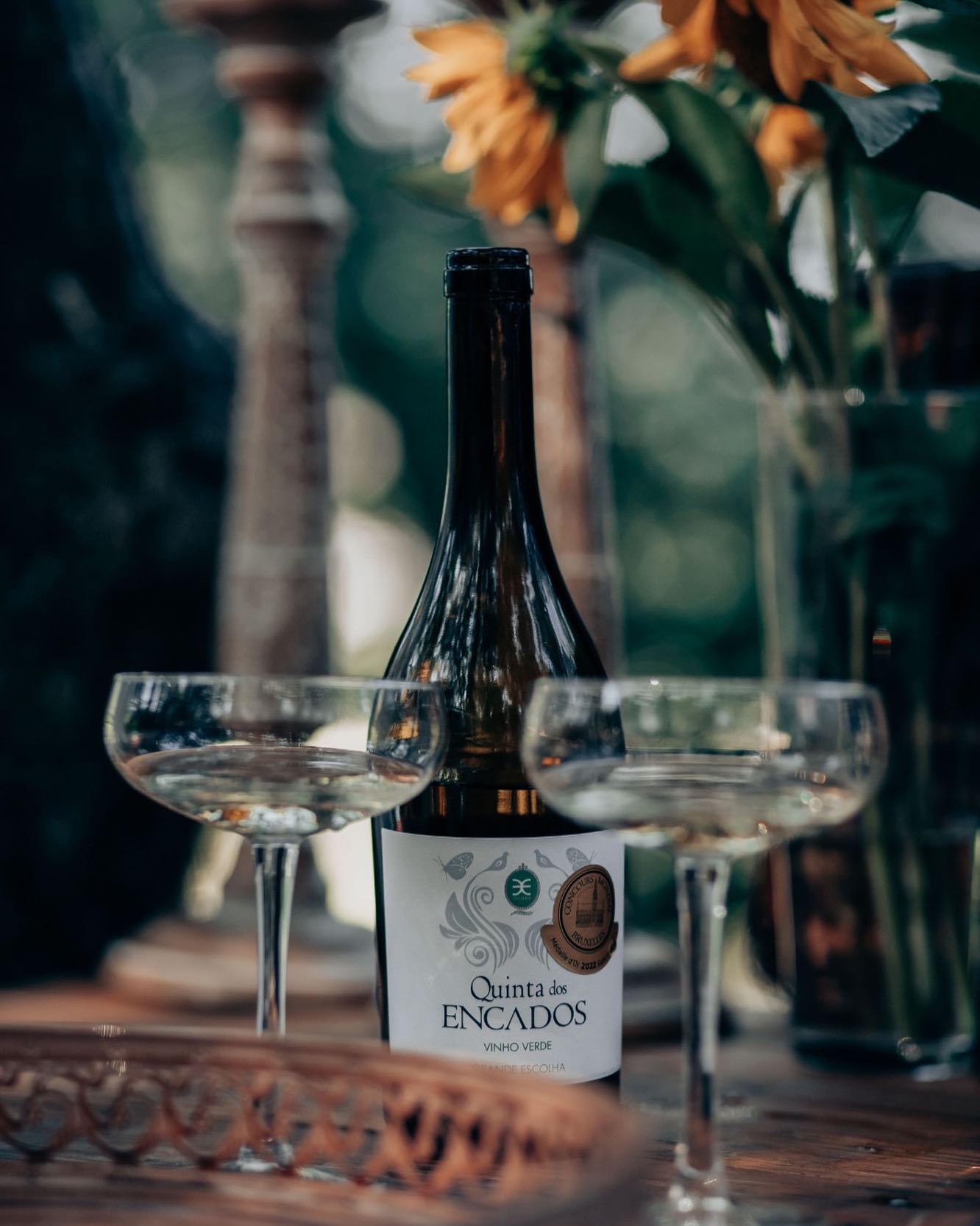 423005720_18080235097430193_950735248787747273_n