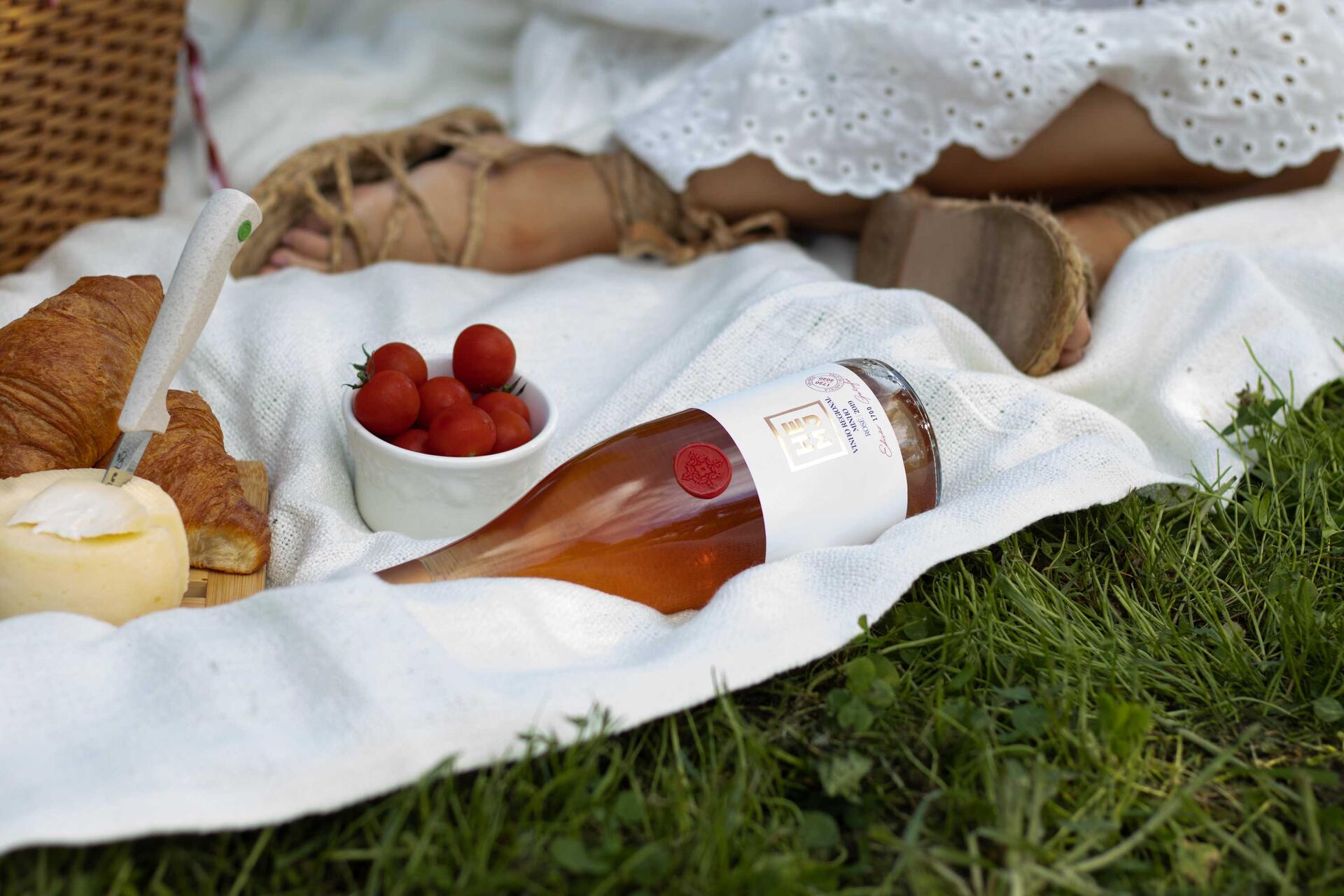 experiencia_picnic_na_vinha_2