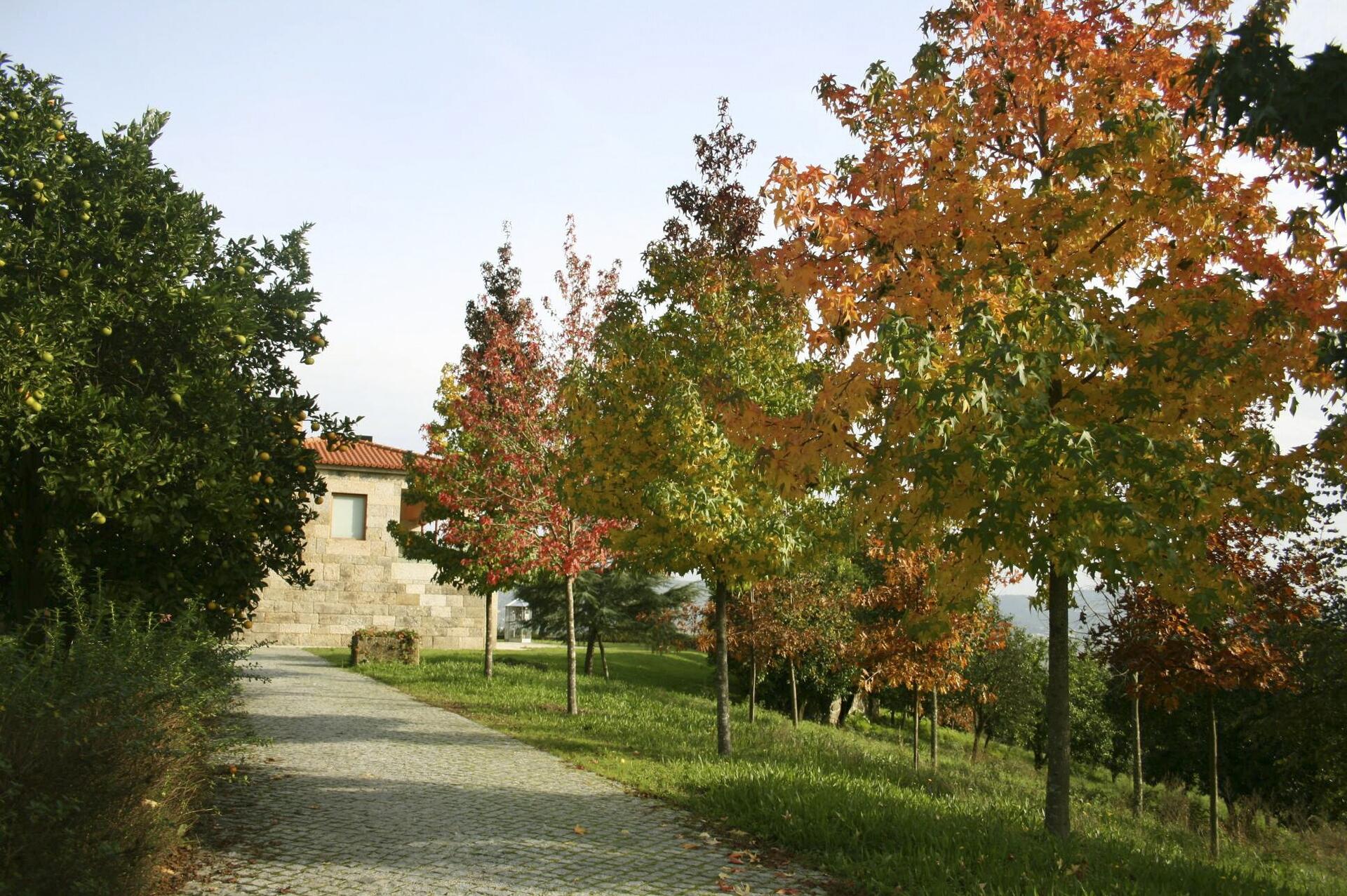 10608378_726085014152484_8131701203782104510_o