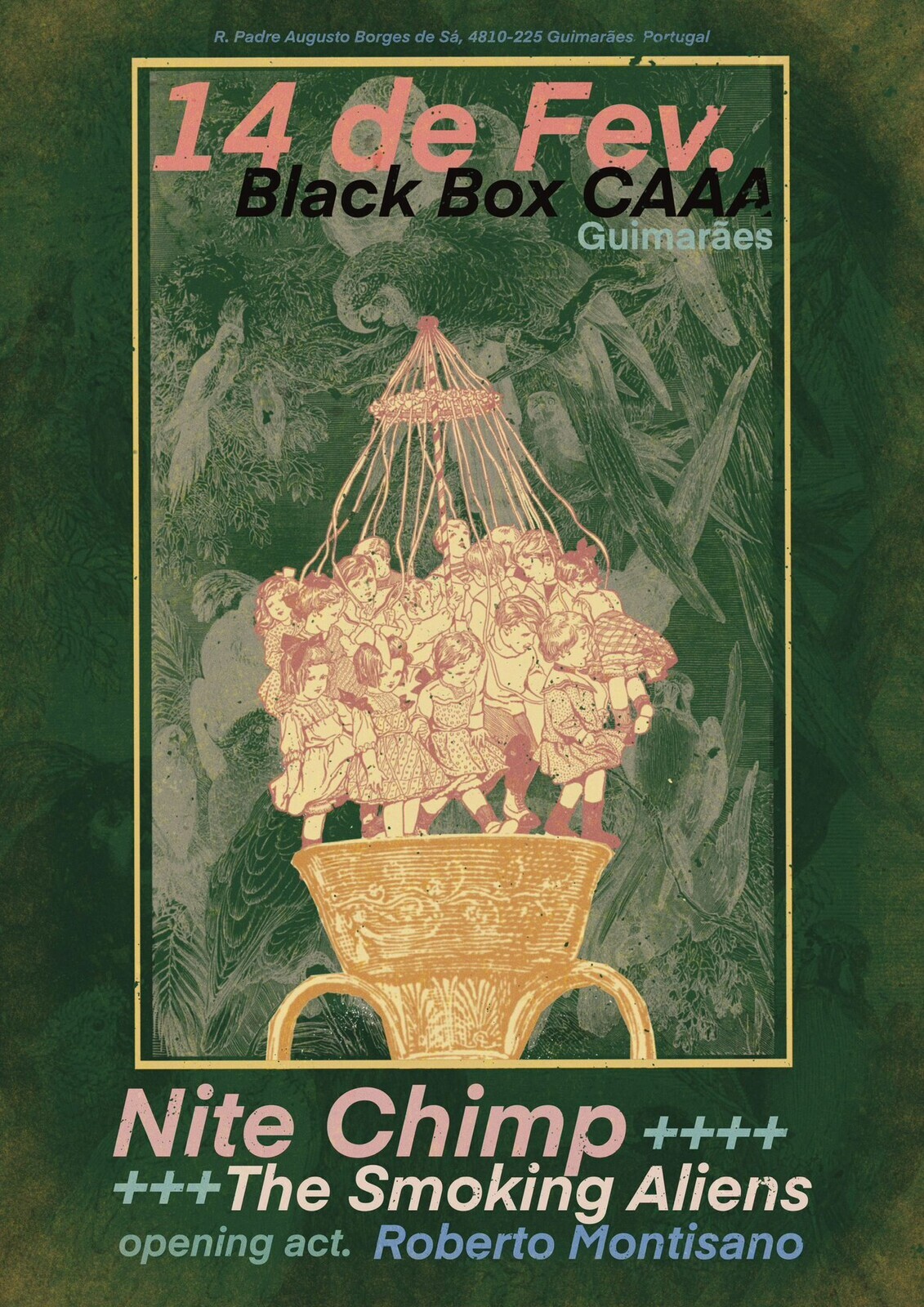 carregar_multimdia_at_20mb_concerto_nite_chimp_smoking_caaa