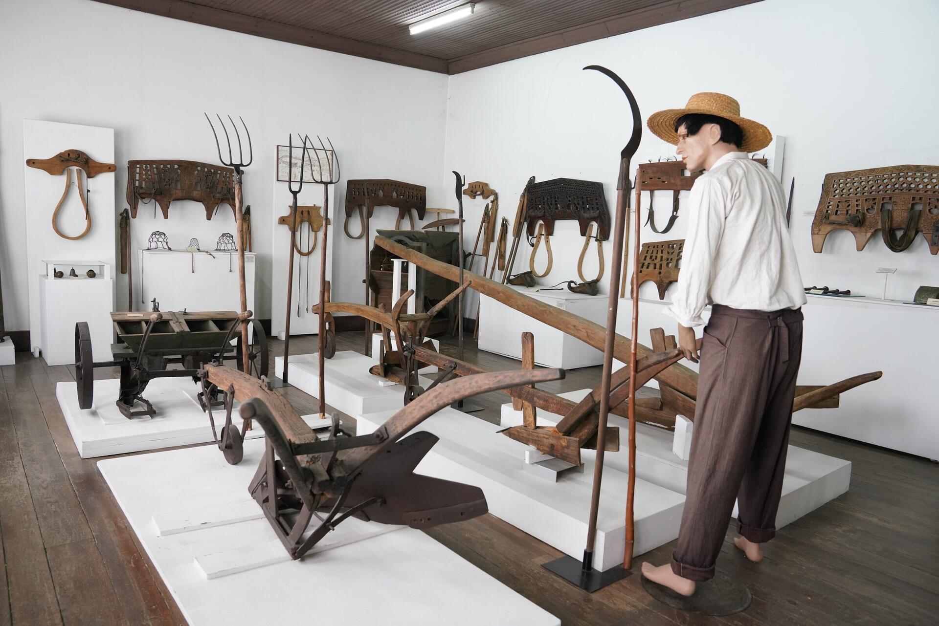 museu_agricola_fermentoes20_008