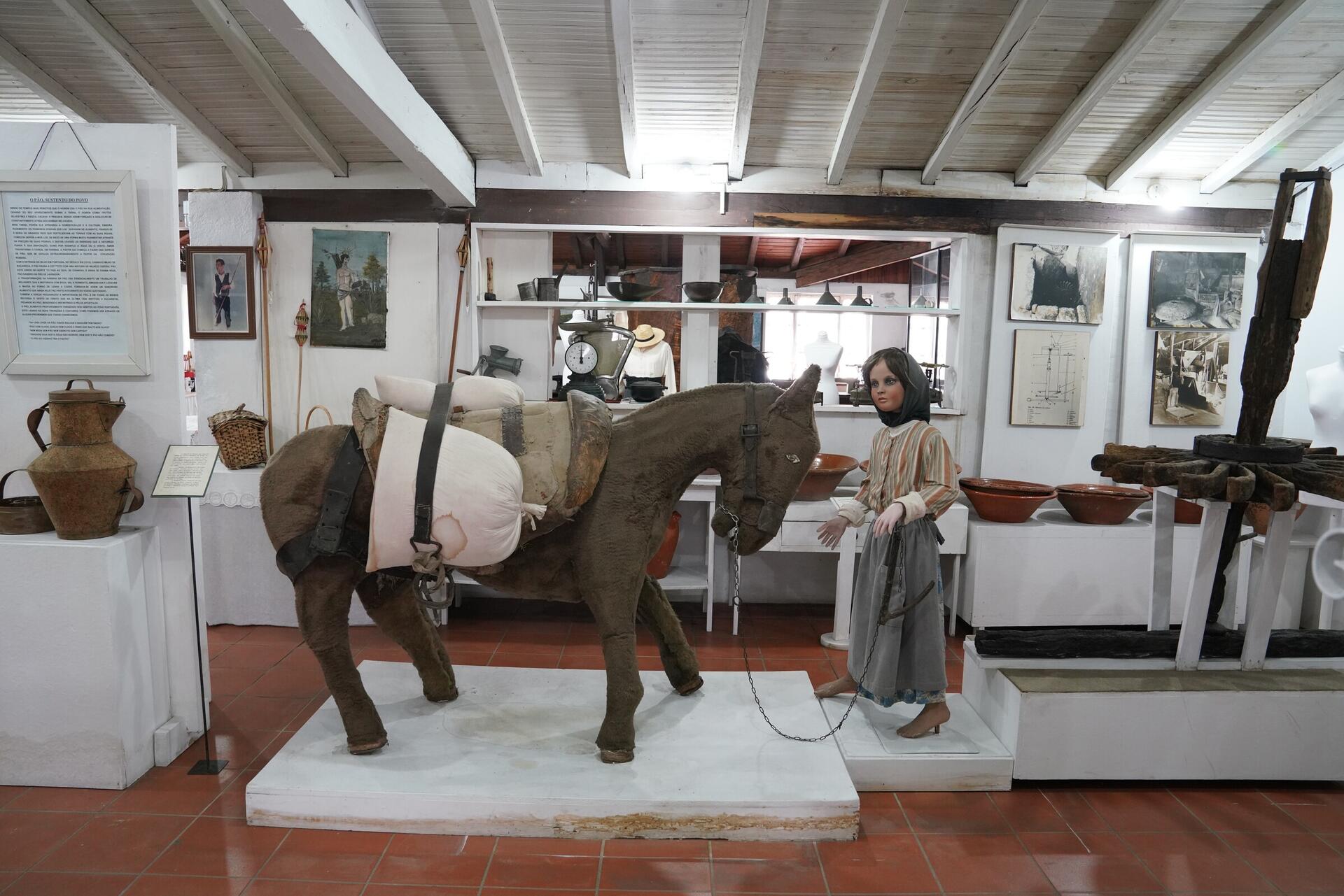 museu_agricola_fermentoes20_018