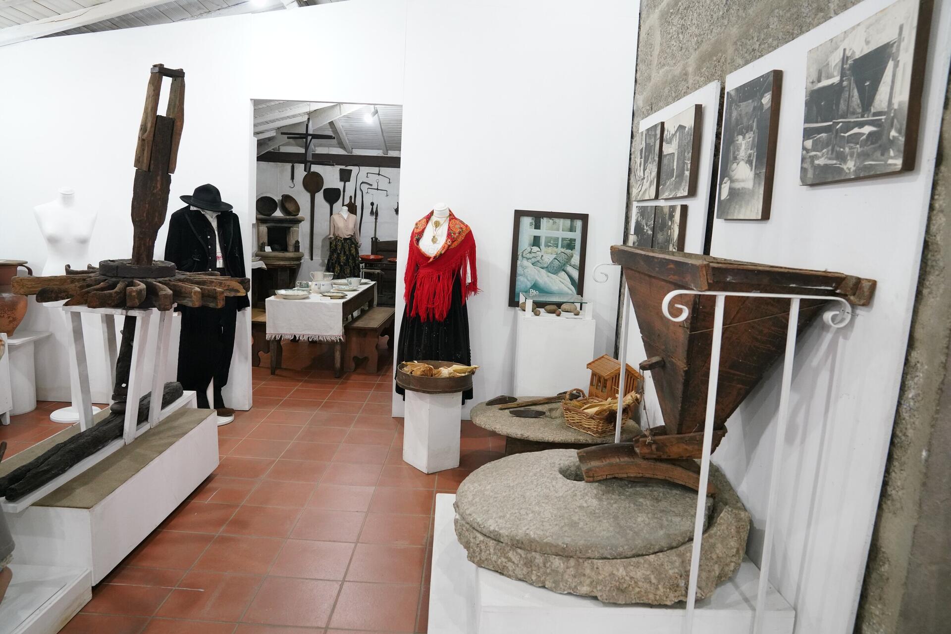 museu_agricola_fermentoes20_028