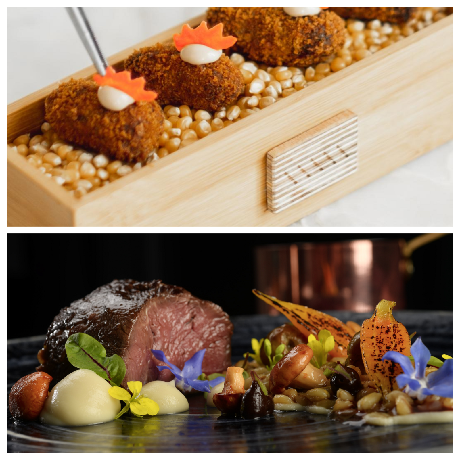  CLIPPING IMPRENSA E REVISTAS