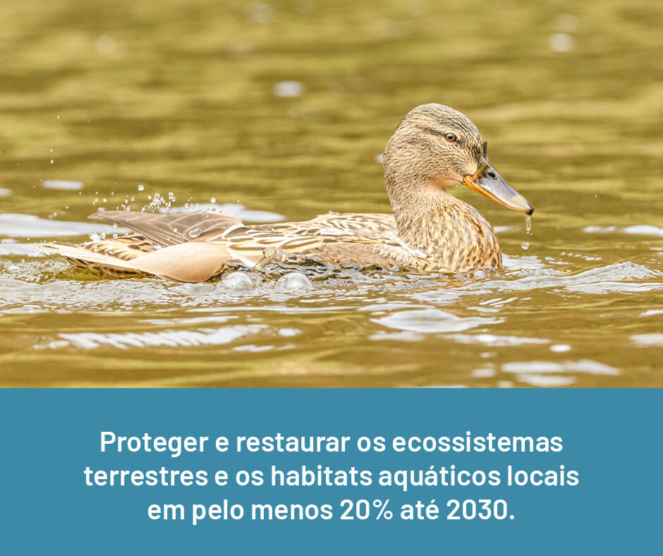 visitguimaraes-travel-sustentabilidade-metas-ecossistemas[2]