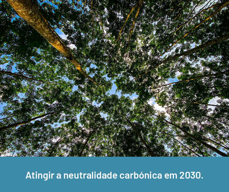visitguimaraes-travel-sustentabilidade-metas-neutralidade[2]