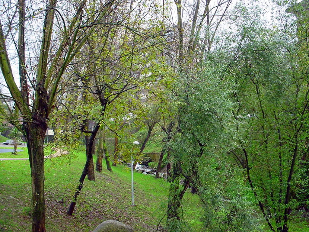 quinta1
